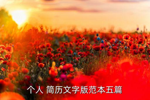 个人 简历文字版范本五篇