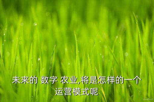 数字农业实践过程怎么写,农业经济管理的实践报告怎么写