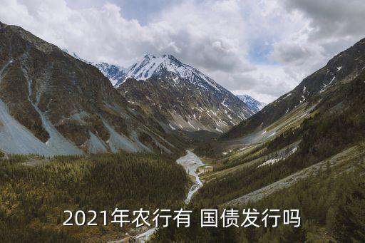 2021年农行有 国债发行吗