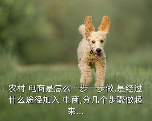 农业电商怎么打造品类,电商怎么选择品类