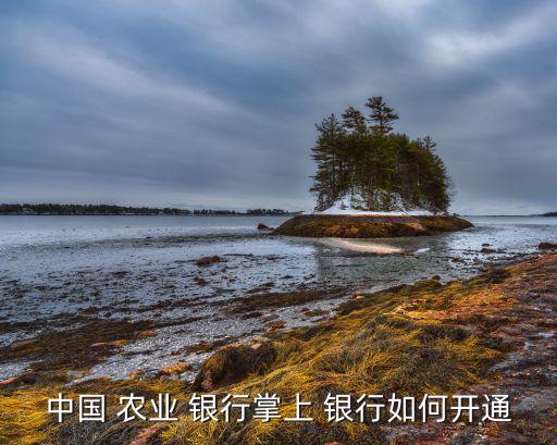 手机怎么注册农业电子银行,手机可以注册电子银行吗
