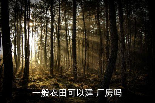 一般农田可以建 厂房吗