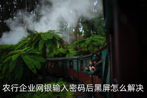 农业手机银行怎么显示黑色,手机银行怎么不显示余额了
