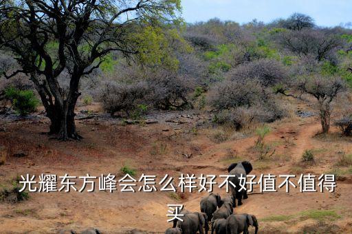  光耀东方峰会怎么样好不好值不值得买