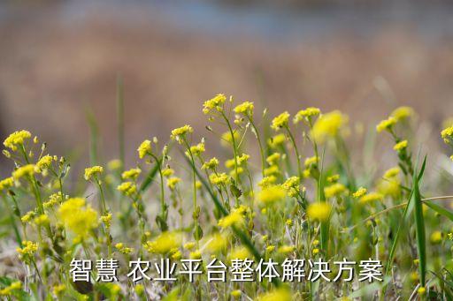 智慧 农业平台整体解决方案