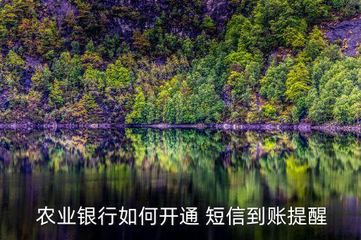 农业银行怎么用短信对账
