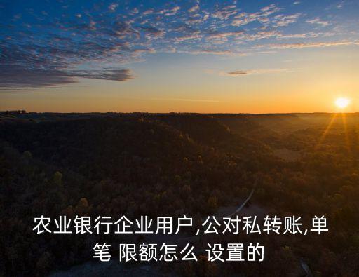  农业银行企业用户,公对私转账,单笔 限额怎么 设置的