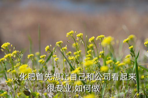 ...化肥首先想让自己和公司看起来很专业,如何做