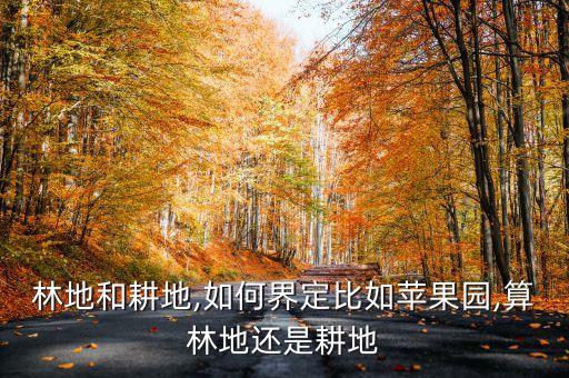 林地和耕地,如何界定比如苹果园,算林地还是耕地