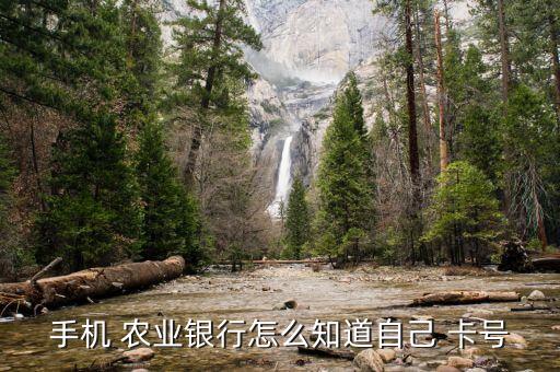 农业银行虚拟卡怎么查卡号