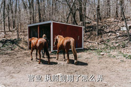 农业执照过期怎么办,农业银行卡信息过期怎么办