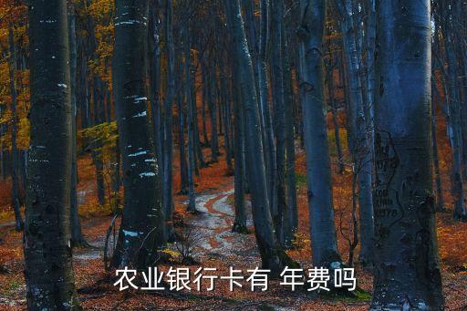  农业银行卡有 年费吗