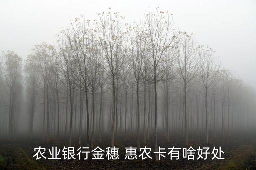  农业银行金穗 惠农卡有啥好处
