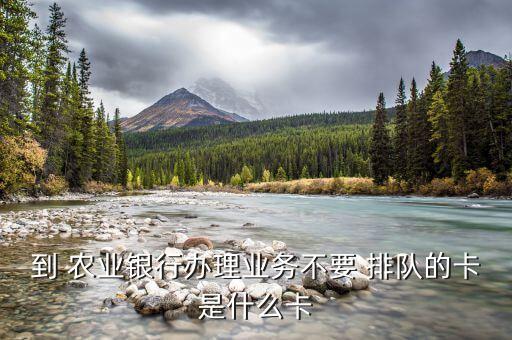 到 农业银行办理业务不要 排队的卡是什么卡