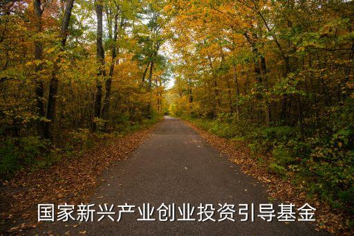 国家新兴产业创业投资引导基金