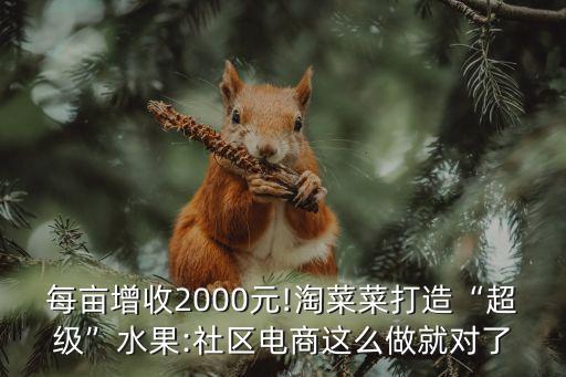每亩增收2000元!淘菜菜打造“超级”水果:社区电商这么做就对了