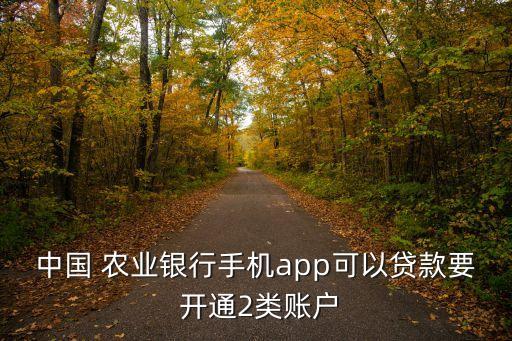 农业银行怎么开通二类