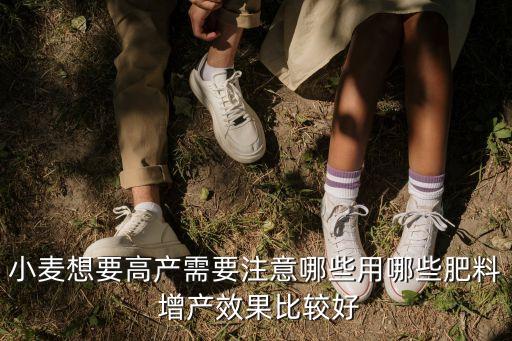 小麦想要高产需要注意哪些用哪些肥料 增产效果比较好