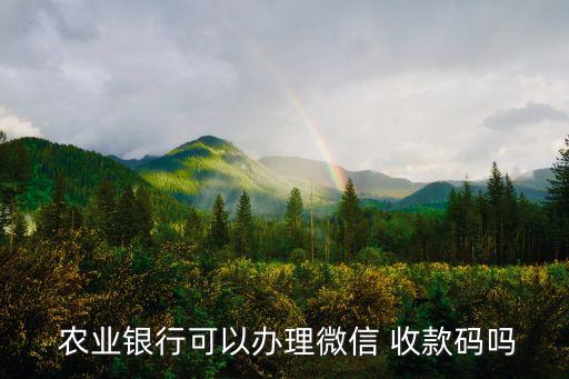  农业银行可以办理微信 收款码吗