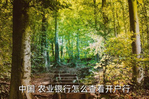 农业联行行号怎么查,查联行行号查询