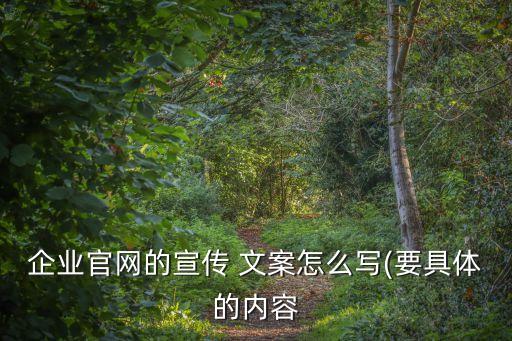 企业官网的宣传 文案怎么写(要具体的内容