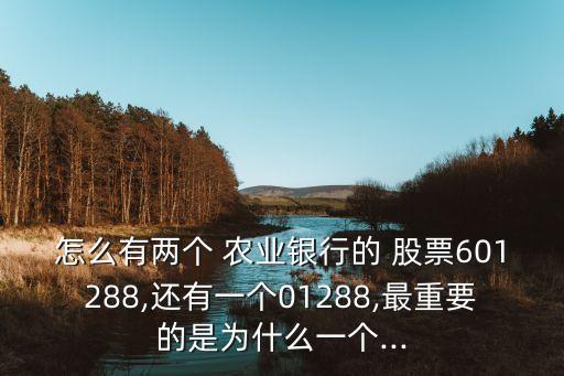 怎么有两个 农业银行的 股票601288,还有一个01288,最重要的是为什么一个...