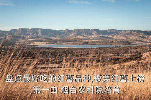 盘点最好吃的红薯品种,板栗红薯上榜,第一由 烟台农科院培育