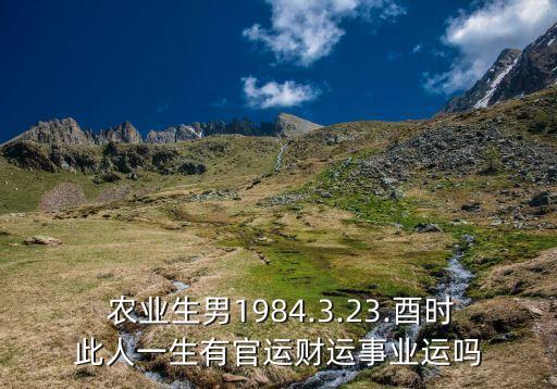  农业生男1984.3.23.酉时此人一生有官运财运事业运吗