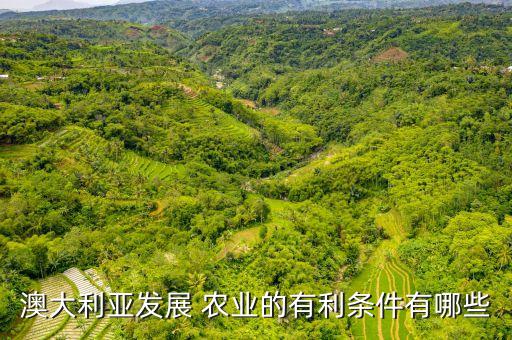澳洲农业怎么生产,农业的种子怎么生产的