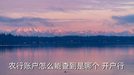 农行账户怎么能查到是哪个 开户行