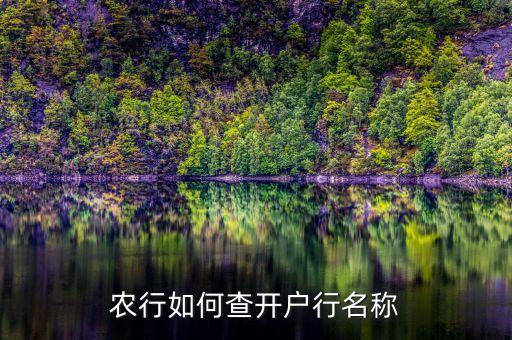 农业银行怎么查询开卡