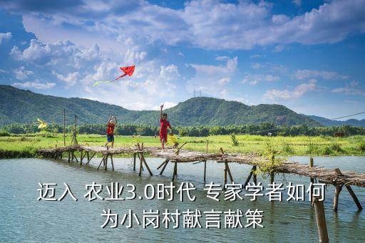 迈入 农业3.0时代 专家学者如何为小岗村献言献策