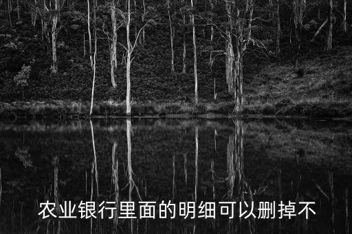  农业银行里面的明细可以删掉不
