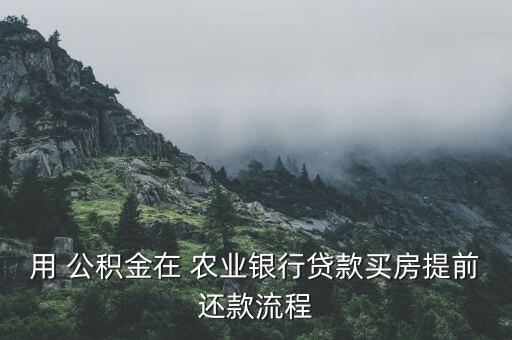 房贷用公积金怎么农业银行,农业银行公积金有多少
