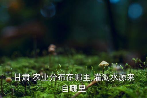 甘肃 农业分布在哪里,灌溉水源来自哪里