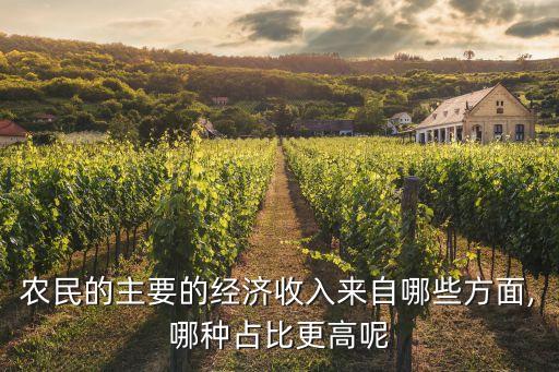农民的主要的经济收入来自哪些方面,哪种占比更高呢
