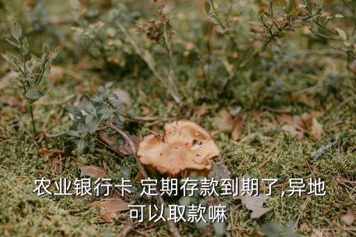  农业银行卡 定期存款到期了,异地可以取款嘛