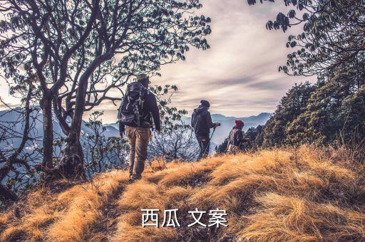 西瓜农业文案怎么写的高级,西瓜泡泡糖文案怎么写