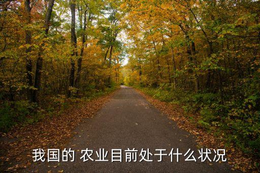 中国农业发展什么程度