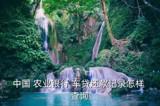 农业银行的车贷怎么查询