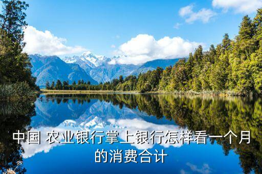 农业银行怎么查看月账单日