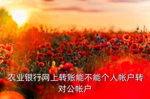  农业银行网上转账能不能个人帐户转对公帐户