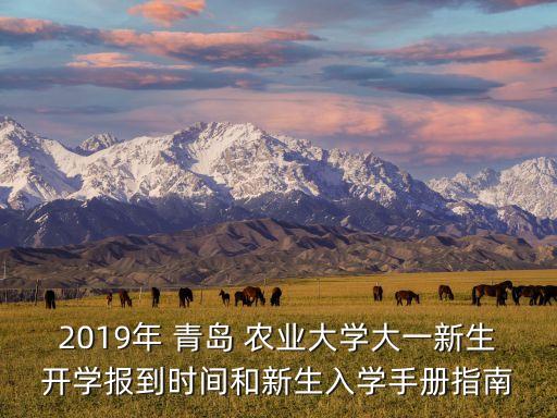 青岛农业大学英语怎么读