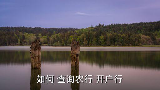 怎么查询农业卡的开户行,农业银行卡开户行网点查询