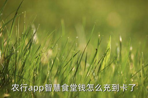 学生卡农业银行怎么充值,农业银行学生卡和普通卡的区别