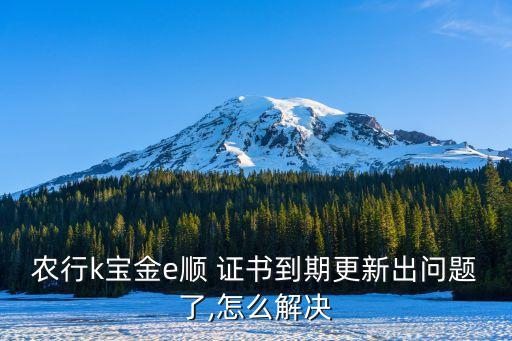 农业银行k宝证书过期怎么办,中国农业银行k宝证书过期怎么办