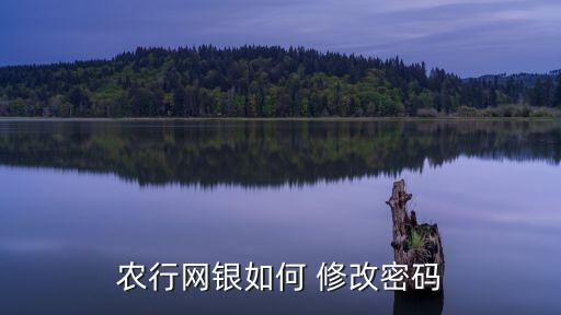 农业银行k宝秘密怎么修改