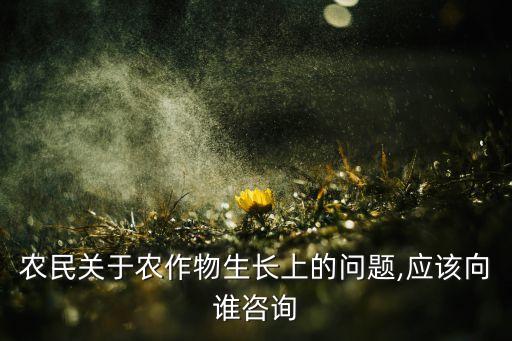 农民关于农作物生长上的问题,应该向谁咨询