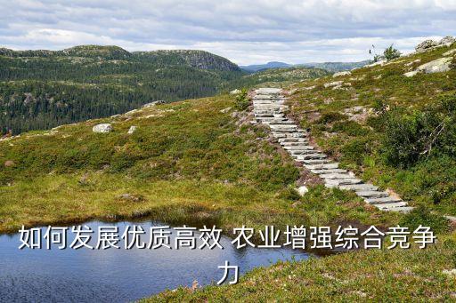 如何发展优质高效 农业增强综合竞争力