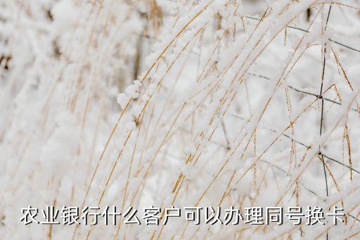  农业银行什么客户可以办理同号换卡